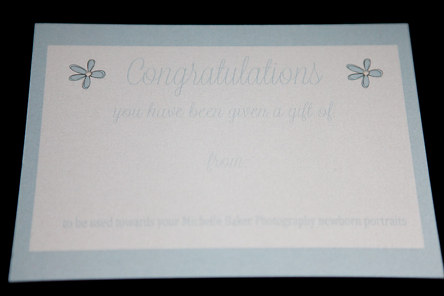 Michelle Baker Photography Gift registry gift card