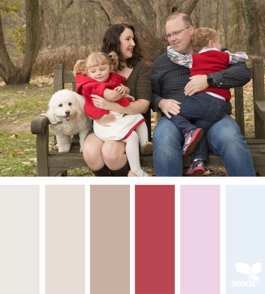 family portrait color palette